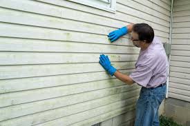 Affordable Siding Repair and Maintenance Services in Rome, IL